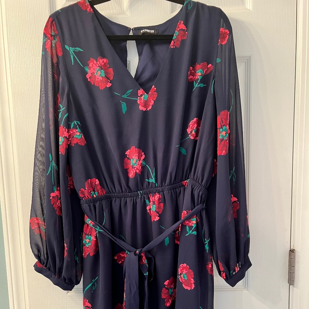 EXPRESS Floral Long Sleeve Dress